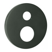 Grohe Rosace 49105 ronde pour THM-FMS graphite dur brossé
