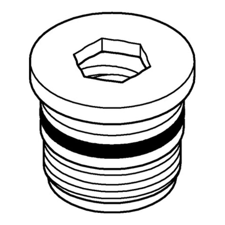 Grohe Rückflussverhinderer 48277