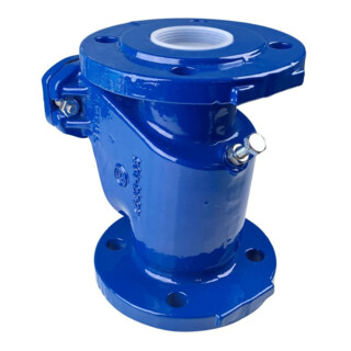 Grundfos Clapet anti-retour DN 65, PN 10, fonte grise