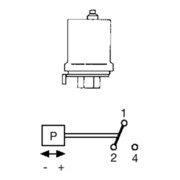 Grundfos Druckschalter FF4-8 0,5-8 bar 1polig, R 3/8