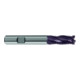 GÜHRING Fraise à ébaucher DIN844 HSSCo8 FIRE type NR 10 mm-1