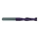 Gühring Fraise cylindrique extra-longue WN VHM FIRE Z2 4 mm-1