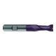 GÜHRING Fraise cylindrique SL DIN6527 VHM FIRE Z2 Tige HB 20 mm-1