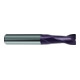 Gühring Fraise queue longue DIN6527 VHM FIRE queue HA Z2 20/1,5mm-1