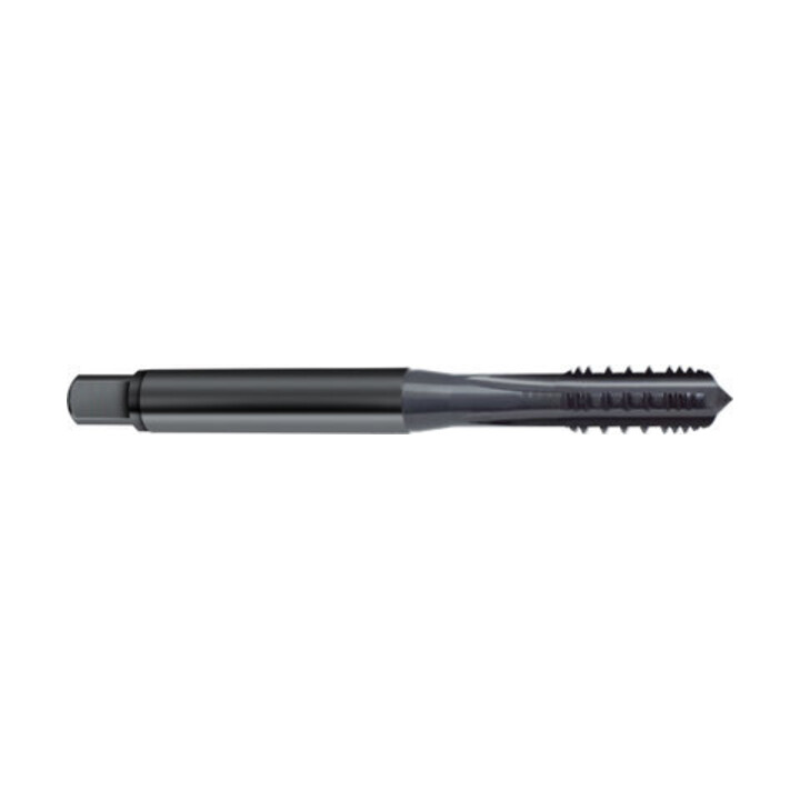 Gühring Tarauds machine M3 HSS-E nitrurés Type H AZ Forme C Droite