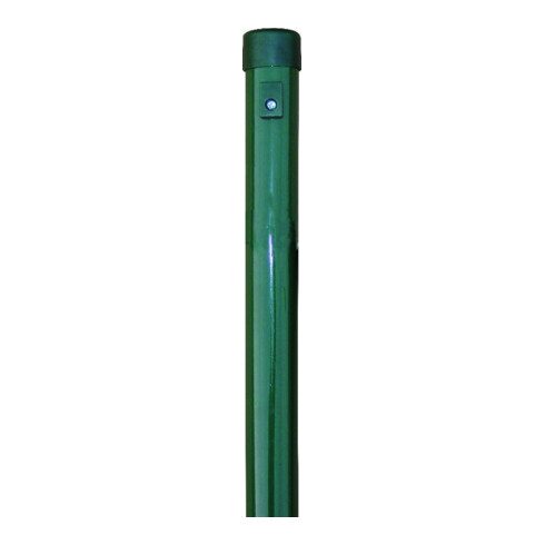 hadra Piquets de clôture vert revêtu 34x1200 mm
