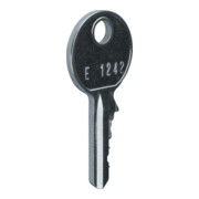 Hager Clé de rechange pour FZ597 FZ596-1