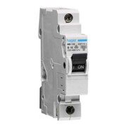 Hager Disjoncteur unipolaire B-10A, 25kA MB197-1