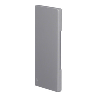 Hager Endstück 65 x 170mm 80mm lichtgrau BR6517067035