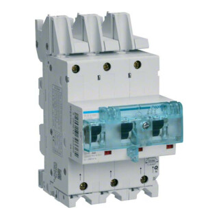 Hager Interrupteur SLS 3P E-100A pour SS HTS390E