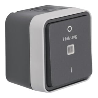 Hager Kontroll-Ausschalter AP 2-polig grau WNC015