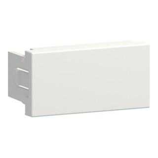 Hager Montagerahmen Blind 45 x 22,5 vw G45BLIND19016