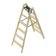 Hailo Échelle en bois Master H80 2x6 marches