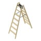 Hailo Échelle en bois Master H80 2x7 marches