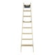 Hailo Échelle en bois Master H80 2x8 marches