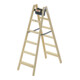 Hailo Holzleiter Master H80 2x6 Stufen