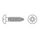 Halbrund-Spanplattenschraube 4,5x35 Edelstahl A2 blank PZ