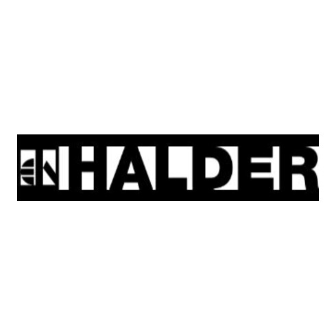 HALDER NORM+TECHNIK Hickory-Hammerstiel, Stiellänge: 310mm