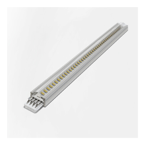 halemeier SuperStripe Plus nw 300mm 24VDC 6.2W