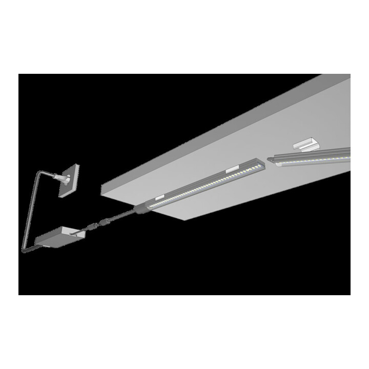 halemeier SuperStripe Plus ww 300mm 24VDC 6.2W