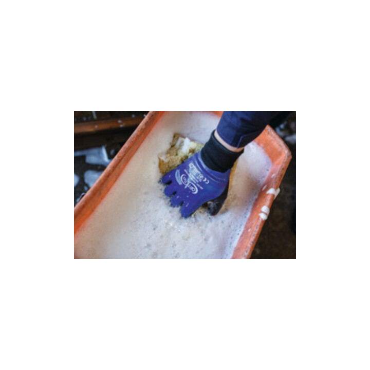 Handschuhe Winter Aqua Guard schwarz/blau EN 388,EN 511 PSA II OPTIFLEX