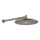 Hansa HANSAAURELIA Pomme de douche murale, 1 trou, bronze brossé-1