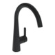 Hansa Robinet mitigeur évier HANSADESIGNO Style commande latérale, bec 219 mm, noir mat-1