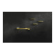 hansgrohe Ablage Axor universal 300mm, polished gold optic-3