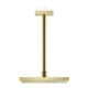 hansgrohe Axor Douchette EcoSmart encastrée, 245x185 mm, 1 jet, poli or optique