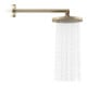 hansgrohe Axor Pomme de douche EcoSmart plus, 220 mm, 1 an, bronze brossé-4