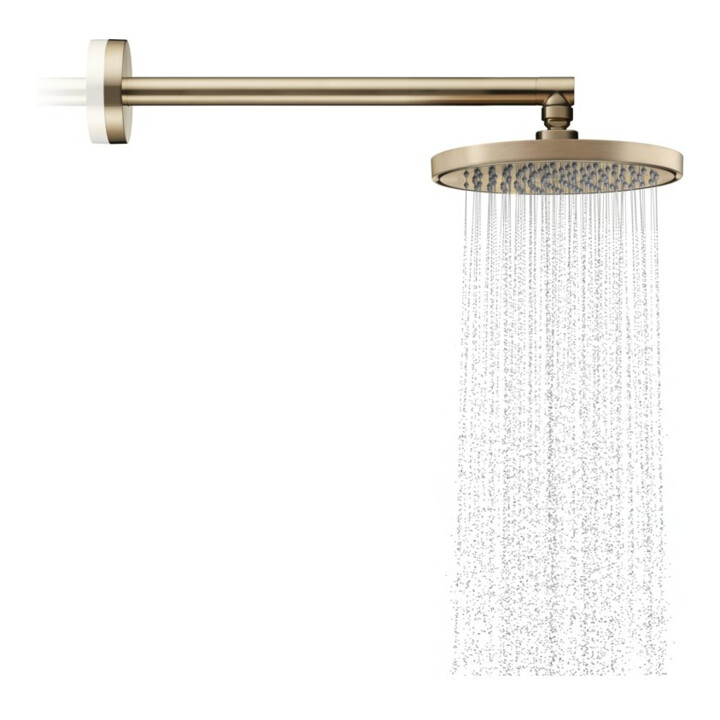 hansgrohe Axor Pomme de douche EcoSmart plus, 220 mm, 1 an, bronze brossé