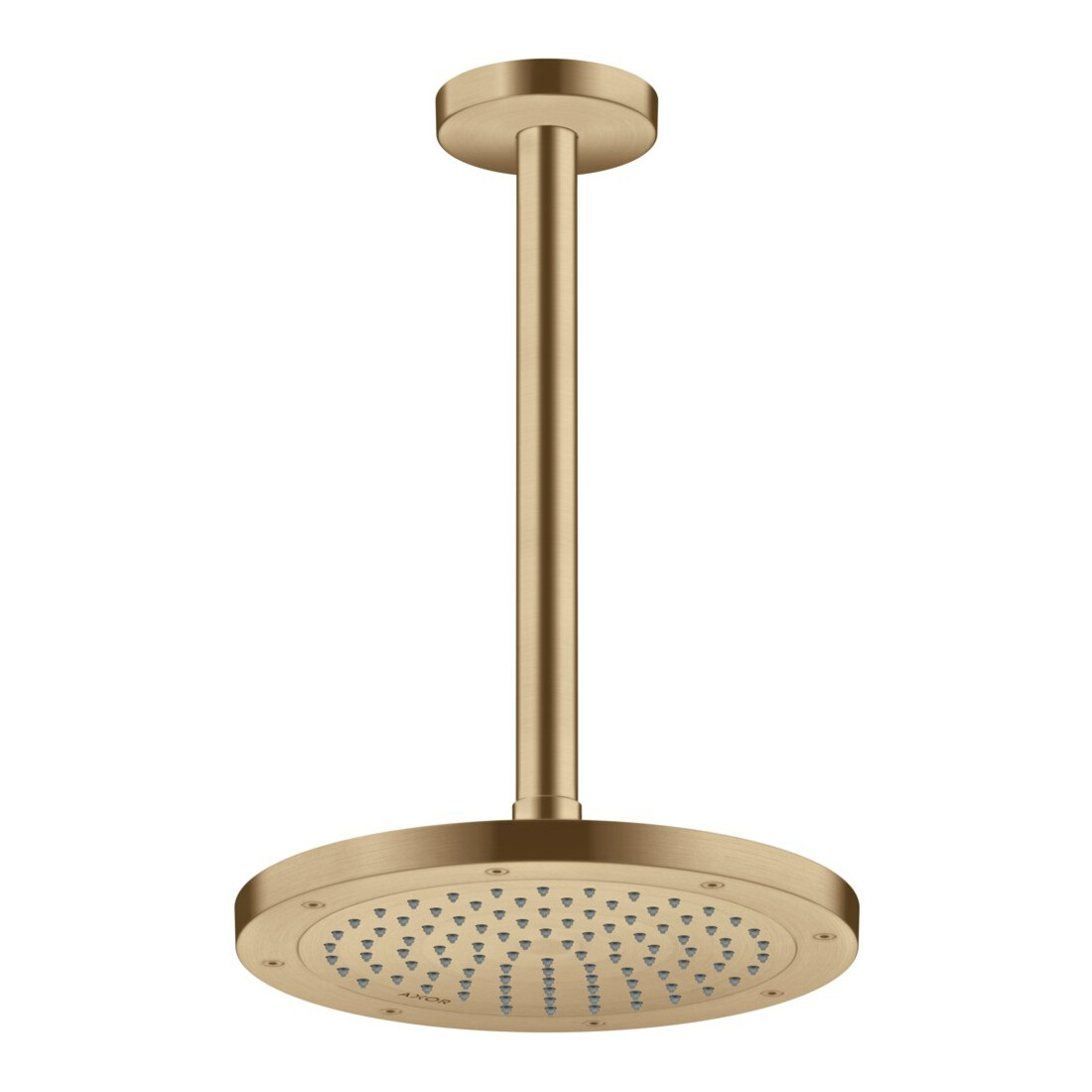 hansgrohe Axor Pomme de douche encastrée, 245 mm, 1 jet, bronze brossé