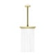 hansgrohe Axor Pomme de douche plafond 245x185 mm, 1 jet, chrome poli brillant