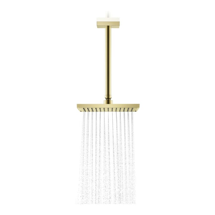 hansgrohe Axor Pomme de douche plafond 245x185 mm, 1 jet, chrome poli brillant