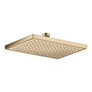 hansgrohe Axor pomme de tête EcoSmart encastrée, 245x185 mm, 1 an, bronze brossé