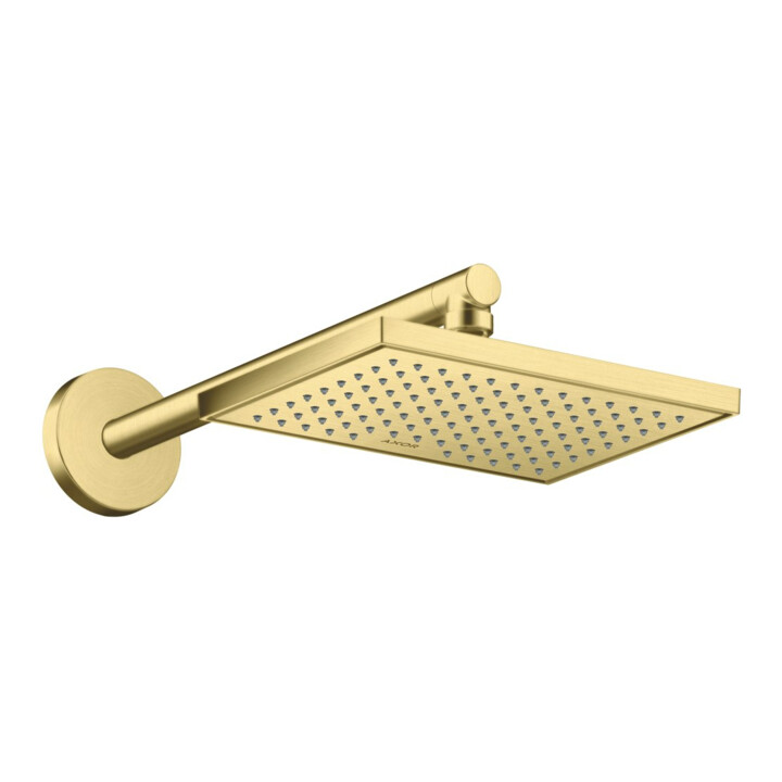 hansgrohe Axor pommeau de douche EcoSmart plus, 245x185 mm, 1 jet, brossé