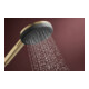 hansgrohe B-S Raindance Al. Se S EcoSm. Brosse Évier Un E, 3 jets, espacement perçage 915 mm, bronze
