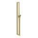 hansgrohe Barre de douche Axor Citterio E 900 mm, avec flexible 1600 mm, laiton brossé-1