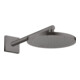 hansgrohe Bras orientable 390 mm, carré, chrome noir brossé-5