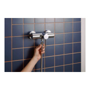 hansgrohe Brause-Einhebelmischer Zesis S AP, chrom-3