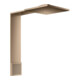 hansgrohe Brausenmodul ShowerComposition 250x250mm, Wd, 2jet, m SB, pol. r gol-1