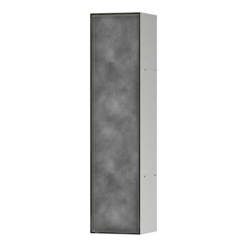 hansgrohe Brosse WC encastrée XtraStoris avec support, fixation porte, acier inox brossé