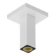 hansgrohe Deckenanschluss 100mm, mattweiß-1