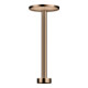 hansgrohe Deckenanschluss Axor One 300mm, f Kopfbrause 280 2jet, pol. red gold-1