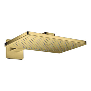 hansgrohe Douche de tête Axor m bras, Ro Softc, 460x300mm, 2 jets, po g o