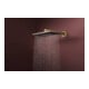 hansgrohe Douche de tête Raindance Alive Q 214x343 mm, Pression min. 0,5 b, b bronzé