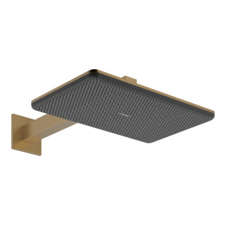 hansgrohe Douche de tête Raindance Alive Q 2jets, pression min. 1 bar, bronze brossé