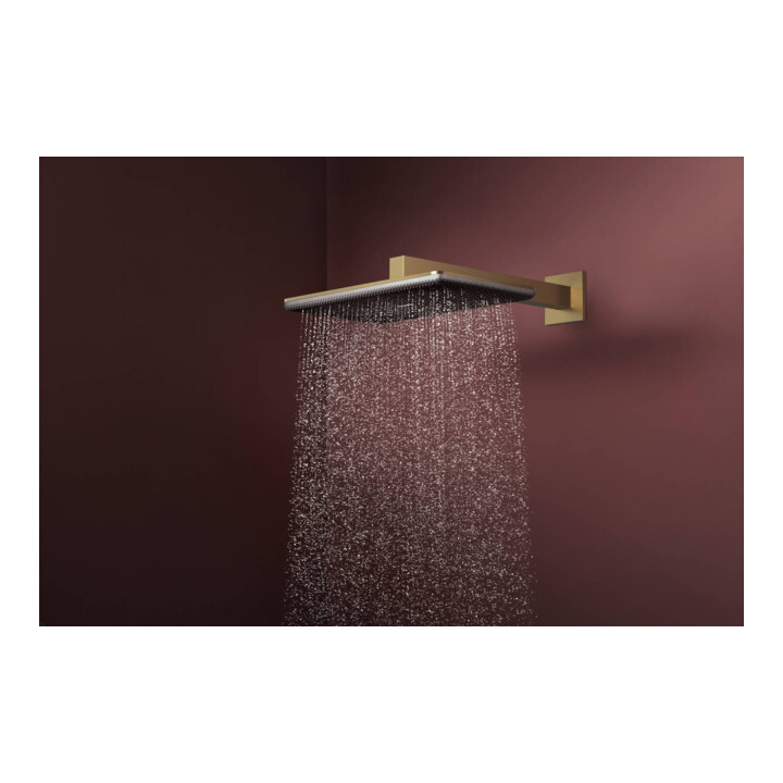 hansgrohe Douche de tête Raindance Alive Q 2jets, pression min. 1 bar, bronze brossé