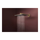 hansgrohe Douche de tête Raindance Alive Q 2jets, pression min. 1 bar, bronze brossé