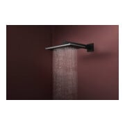 hansgrohe Douche de tête Raindance Alive Q 2jets, pression min. 1 bar, noir mat-4